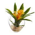 Dare2Decor 8 in. Tropical Bromeliad in Angled Vase Artificial Arrangement; Yellow DA775282